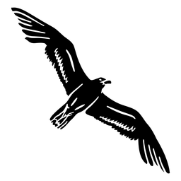 Flying bird eagle cut out PNG Design
