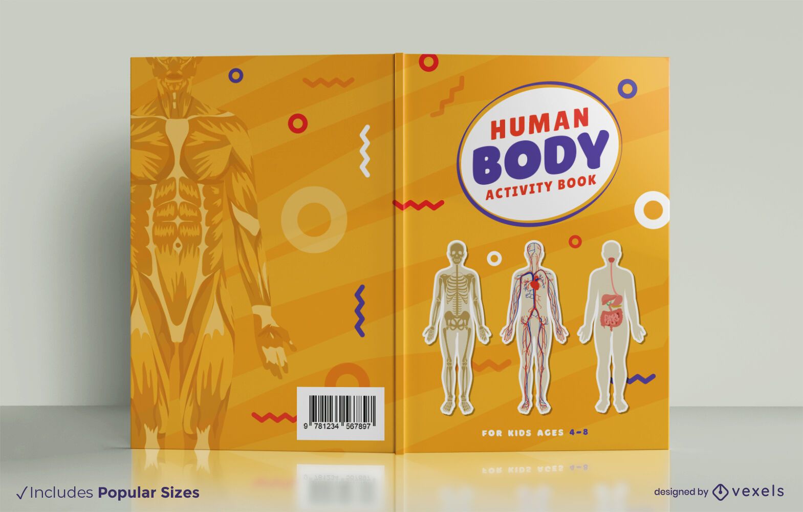 Buchcover-Design für die menschliche Anatomie