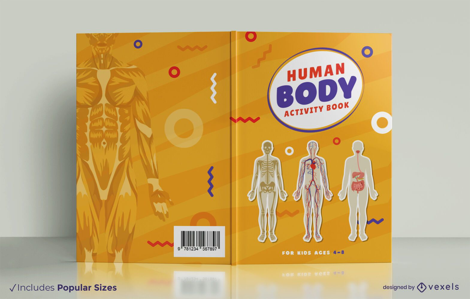 Diseño de portada de libro de anatomía humana