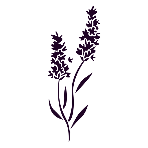 Lavender flowers cut out