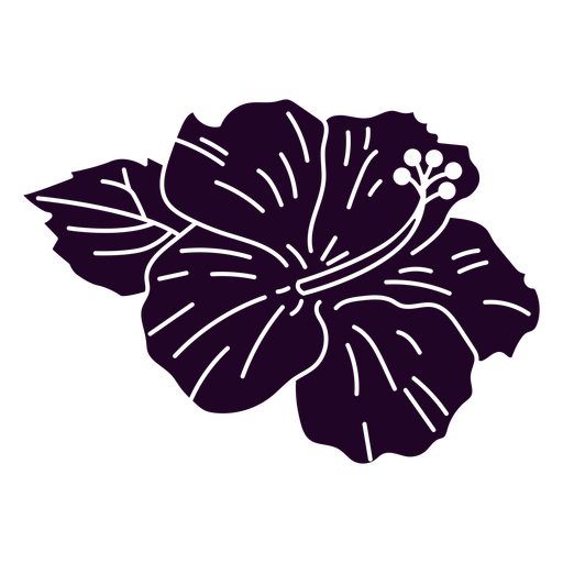 Hibiscus flower cut out