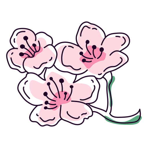 Amaryllis flower color stroke PNG Design