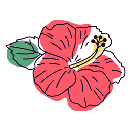 Traço colorido de flor de hibisco vermelho-claro Transparent PNG