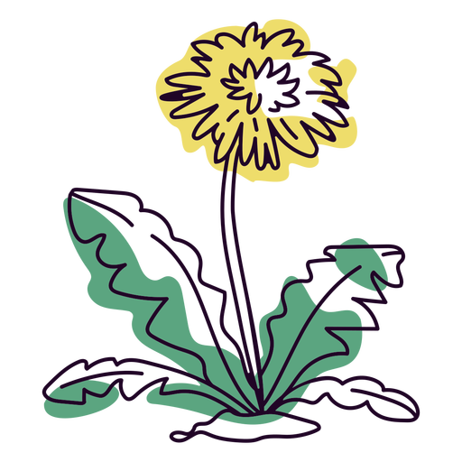 Dandelion flower color stroke