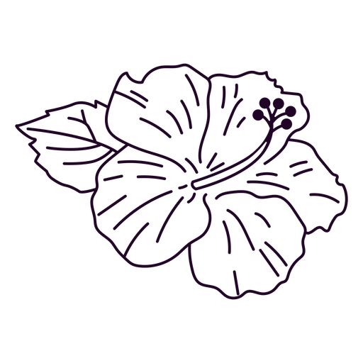 Hibiscus flower design stroke