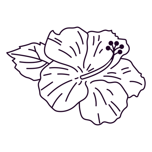 nature-botanical-ContourLineOverlay - 39 Desenho PNG