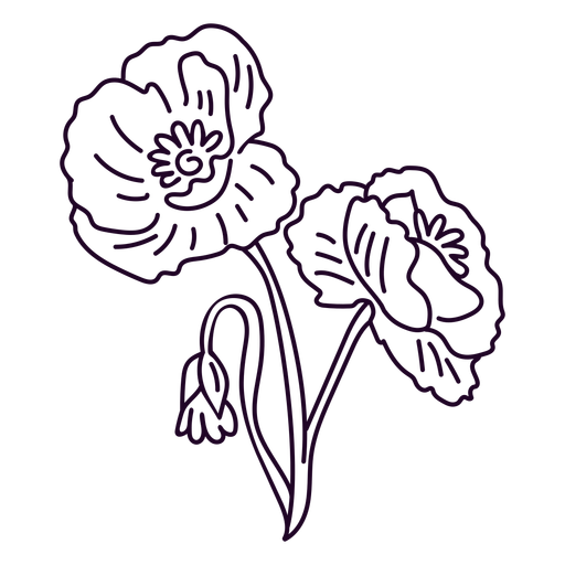 Amaryllis flowers stroke PNG Design