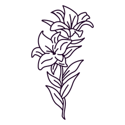 nature-botanical-ContourLineOverlay - 43 Desenho PNG