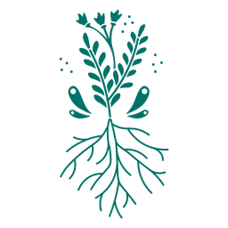 Leaves and roots plant cut out PNG Design Transparent PNG