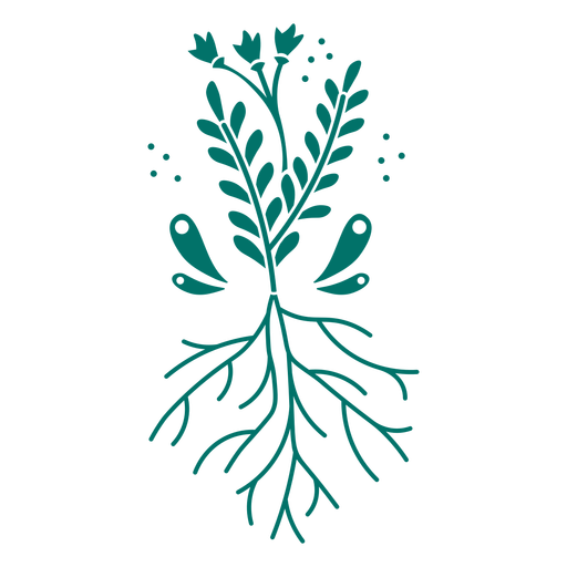 Leaves and roots plant cut out PNG Design