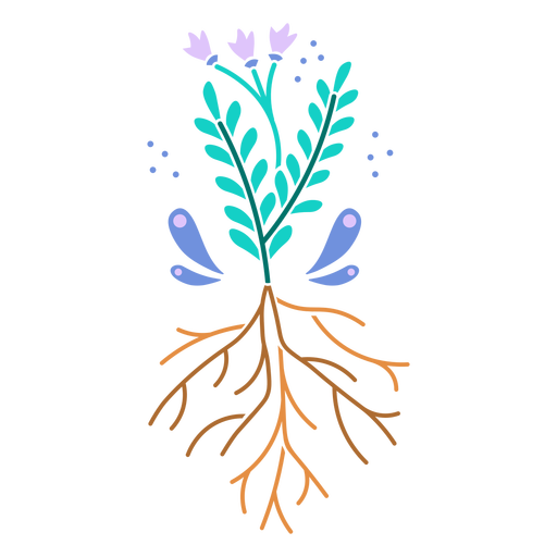 Leaves and roots plant color cut out PNG Design