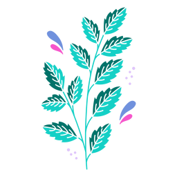 Higiene botánica de la naturaleza - 32 Diseño PNG