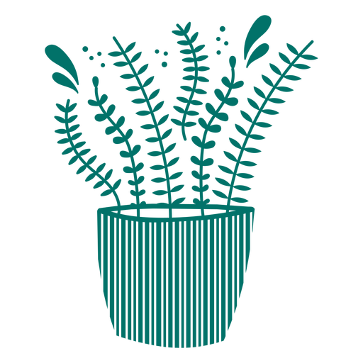 Ferns in a pot cut out