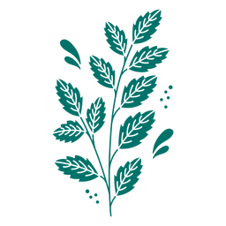 Green leaves plant cut out Transparent PNG