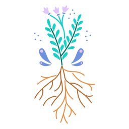 Plant with flowers and roots design semi flat Transparent PNG