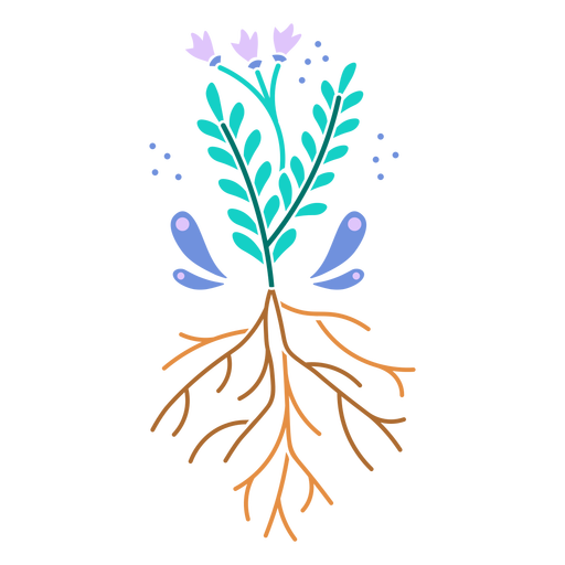 Plant with flowers and roots design semi flat PNG Design