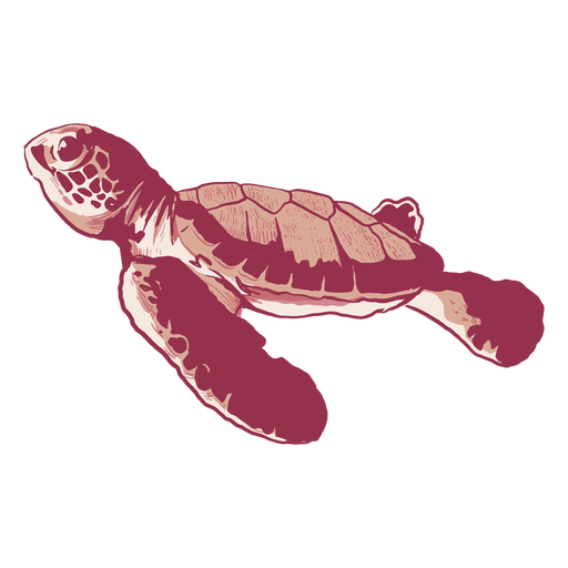 Baby sea turtle monochromatic 