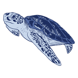 Blue sea turtle monochromatic