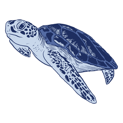 Blue sea turtle monochromatic PNG Design