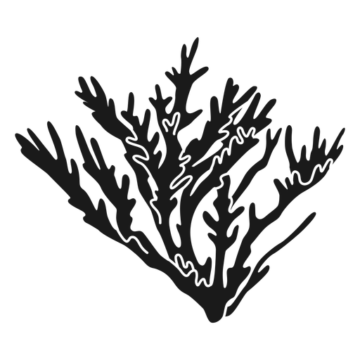 Coral reef sea plant
