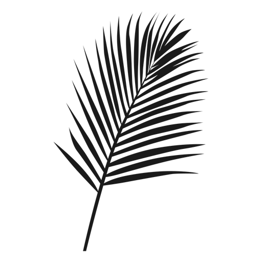Big palm leaf nature PNG Design