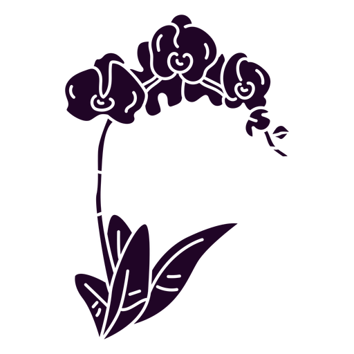 purple orchid silhouette