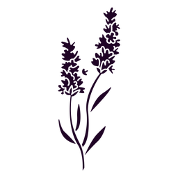 nature-botanical-ContourLineOverlay-silhouette-CR - 12 PNG-Design