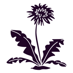 naturaleza-botánica-ContourLineOverlay-silueta-CR - 15 Diseño PNG