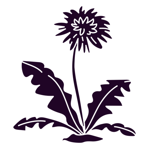 Dandelion flower and leaves cut out