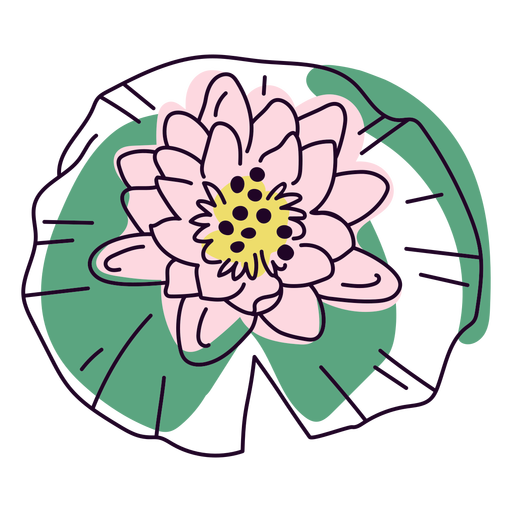 Water lily color stroke PNG Design