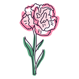 Traço colorido de flor de cravo único Transparent PNG