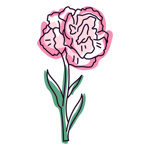 Traço colorido de flor de cravo único Desenho PNG