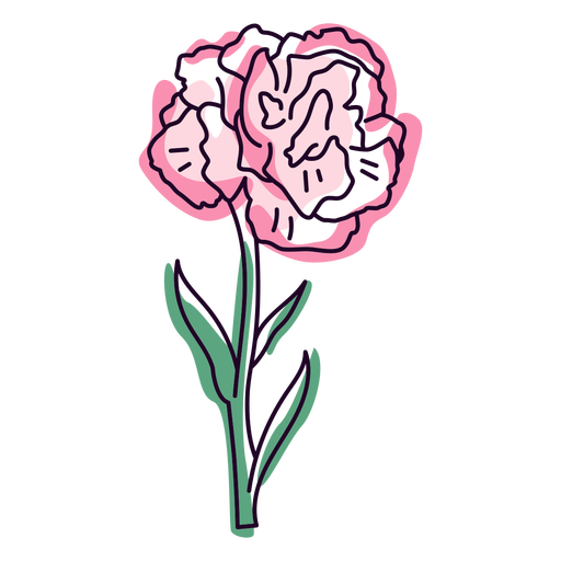 Trazo de color de una sola flor de clavel Diseño PNG