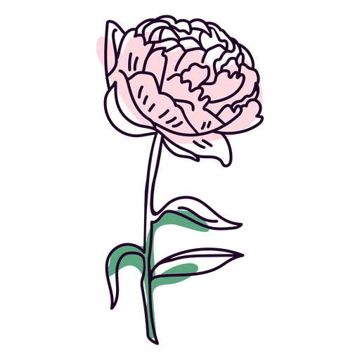 Traço de flor de peônia Desenho PNG