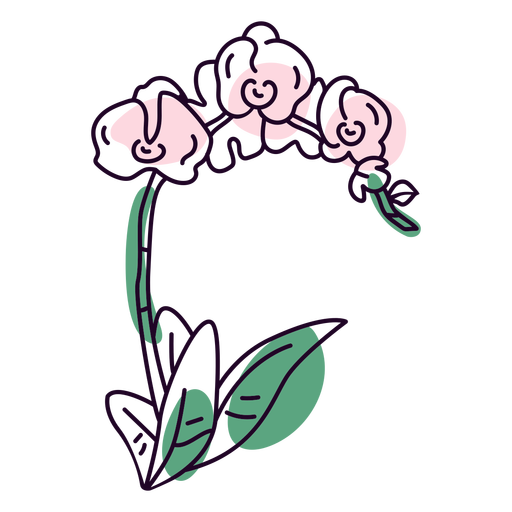 Traço colorido de flores de orquídea Desenho PNG