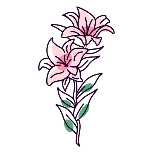Lily flowers color stroke PNG Design