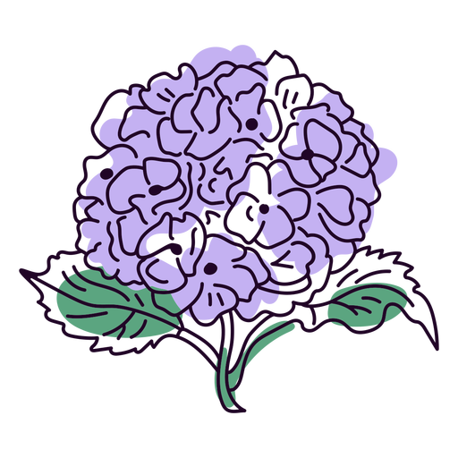 Hortensienblüten Farbstrich PNG-Design