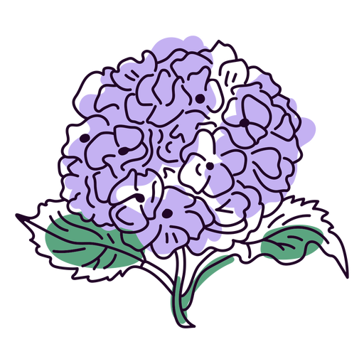 Traço colorido de flores de hortênsia Desenho PNG