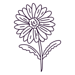 naturaleza-botánica-ContourLineOverlay-silueta-CR - 35 Diseño PNG