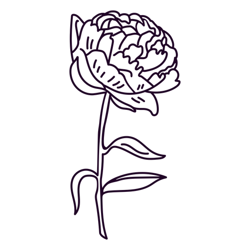 Single flower in a stem simple design stroke PNG Design