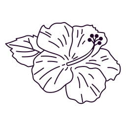 Big hibiscus flower stroke Transparent PNG