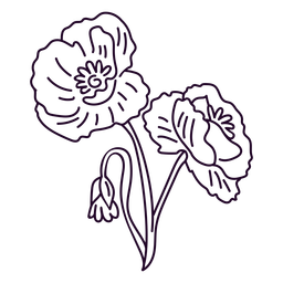naturaleza-botánica-ContourLineOverlay-silueta-CR - 40 Diseño PNG