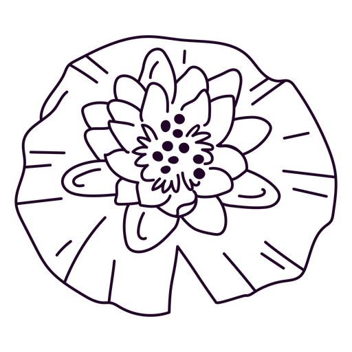 Water lily stroke PNG Design