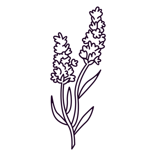 nature-botanical-ContourLineOverlay-silhouette-CR - 45 PNG-Design