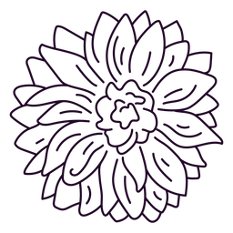 Dahlia flower stroke Transparent PNG