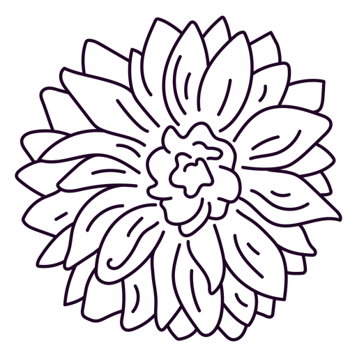Trazo de flor de dalia Diseño PNG