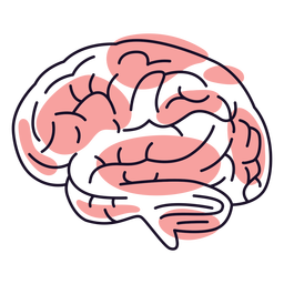 Brains Color Stroke PNG & SVG Design For T-Shirts