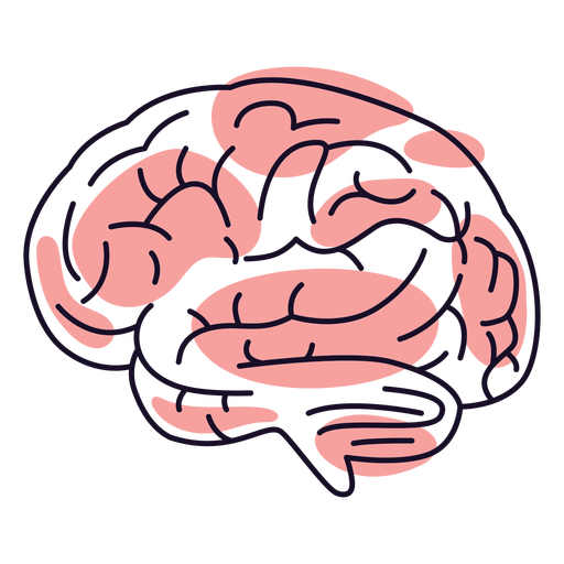 Brains color stroke PNG Design