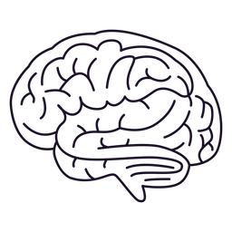 Brain Outline Stroke PNG & SVG Design For T-Shirts