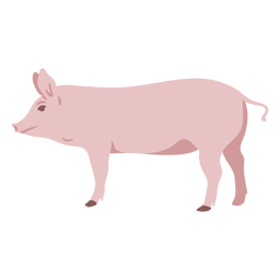 Pig profile flat